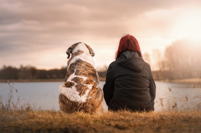 qué cubre un seguro de responsabilidad civil para perros